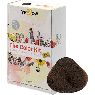 Yellow Professional Home Color Kit 6.32 7 pc.
