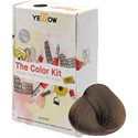Yellow by Alfaparf Home Color Kit 7 7 pc.