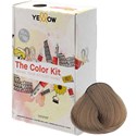 Yellow by Alfaparf Home Color Kit 8 7 pc.