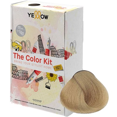 Yellow Professional Home Color Kit 9 7 pc.