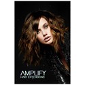 Amplify Hair Extensions Poster 24 x 36 inches