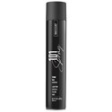 BIOTOP PROFESSIONAL 101 Create Strong Hold Hairspray 16.9 Fl. Oz.