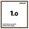 COLOR SPACE 1.0- NATURAL BLACK 4.05 Fl. Oz.