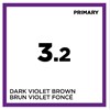 COLOR SPACE 3.2- DARK VIOLET BROWN 4.05 Fl. Oz.