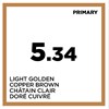 COLOR SPACE 5.34- LIGHT GOLDEN COPPER BROWN 4.05 Fl. Oz.