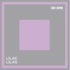 COLOR SPACE LILAC 3 x 2 Fl. Oz.
