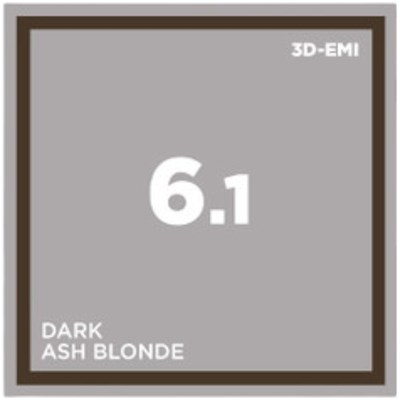 COLOR SPACE 6.1- DARK ASH BLONDE 3 x 2 Fl. Oz.