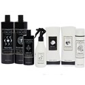 Curl Cult Make Waves Intro Package 56 pc.