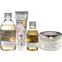 Davines Authentic Intro 14 pc.