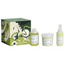 Davines Sax MOMO/ Holiday Set 3 pc.
