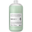 Davines anti-breakage shampoo Liter