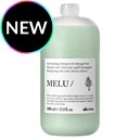 Davines anti-breakage shampoo Liter