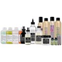 Davines Visionary Bundle Intro