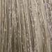 Davines 8,1- Ash Light Blonde 2.02 Fl. Oz.