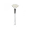 Dermalogica fan brush