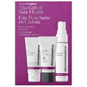 Dermalogica the dynamic firm + protect set 3 pc.