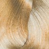 difiaba 10.31- Lightest Blonde/Golden Beige 3.08 Fl. Oz.