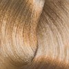 difiaba 9.31- Very Light Blonde/Golden Beige 3.08 Fl. Oz.