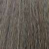 ELEVEN Australia 8.1/8.A- Light Blonde Ash 2 Fl. Oz.