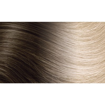 Hotheads 60A/4AR- Ice Blonde with Dark Ash Brown Root 10-12 inch