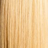 Hotheads Opal (12C- Light, golden blonde) 16 inch