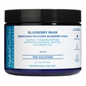 HydroPeptide Professional Blueberry Mask 6 Fl. Oz.