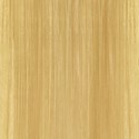 KEVIN.MURPHY GLOSS 10.03/10NG- PLATINUM.NATURAL.GOLD 2 Fl. Oz.