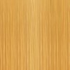 KEVIN.MURPHY GLOSS 10.4/10C- PLATINUM.COPPER 2 Fl. Oz.