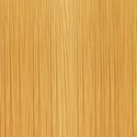 KEVIN.MURPHY GLOSS 10.4/10C- PLATINUM.COPPER 2 Fl. Oz.