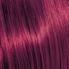 KEVIN.MURPHY +CODE 6.65/6RM- DARK.BLONDE.RED.MAHOGANY 3.4 Fl. Oz.