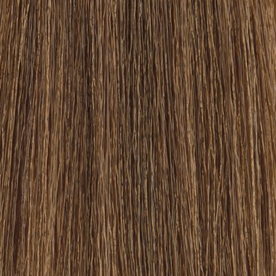 MOROCCANOIL Gloss 6.3/6G- Dark Gold Blonde 2 Fl. Oz.