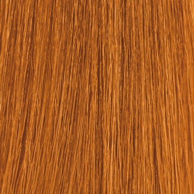 MOROCCANOIL Gloss 8.4/8C- Light Copper Blonde 2 Fl. Oz.