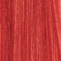 MOROCCANOIL Gloss 8.6/8R- Light Red Blonde 2 Fl. Oz.