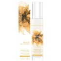 MOROCCANOIL BRUMES DU MOROC AMBIANCE DE PLAGE 3.4 Fl. Oz.