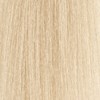 MOROCCANOIL Cream 10.3/10G- Lightest Gold Blonde 2 Fl. Oz.
