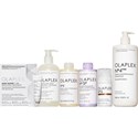 OLAPLEX Medium Salon Intro Portland 40 pc.